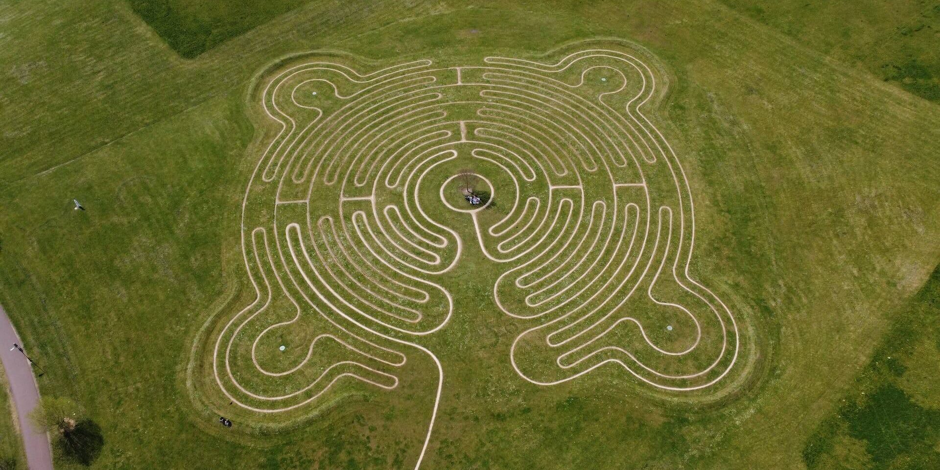 Maze of Love Maze of Love